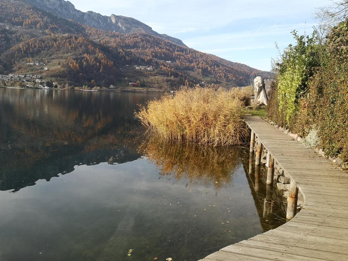 Il Riccio Del Castagno Appartement Novaledo Buitenkant foto