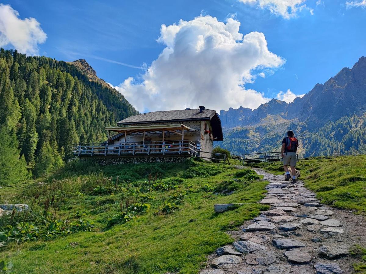 Il Riccio Del Castagno Appartement Novaledo Buitenkant foto