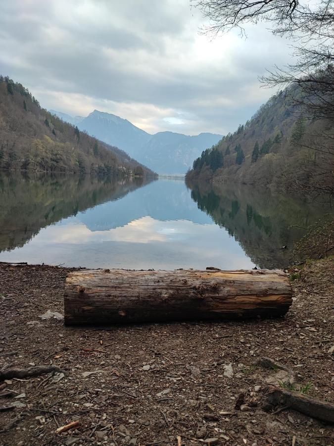Il Riccio Del Castagno Appartement Novaledo Buitenkant foto