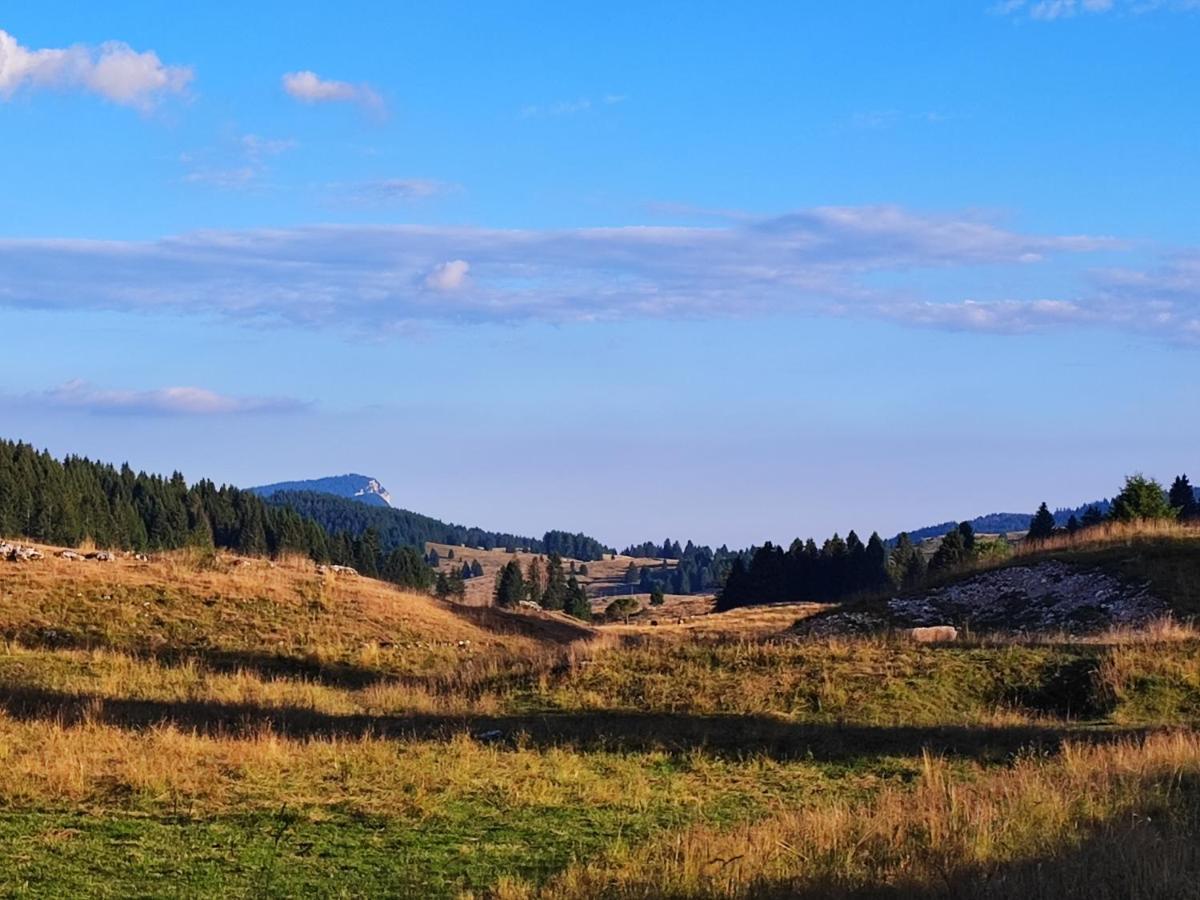 Il Riccio Del Castagno Appartement Novaledo Buitenkant foto