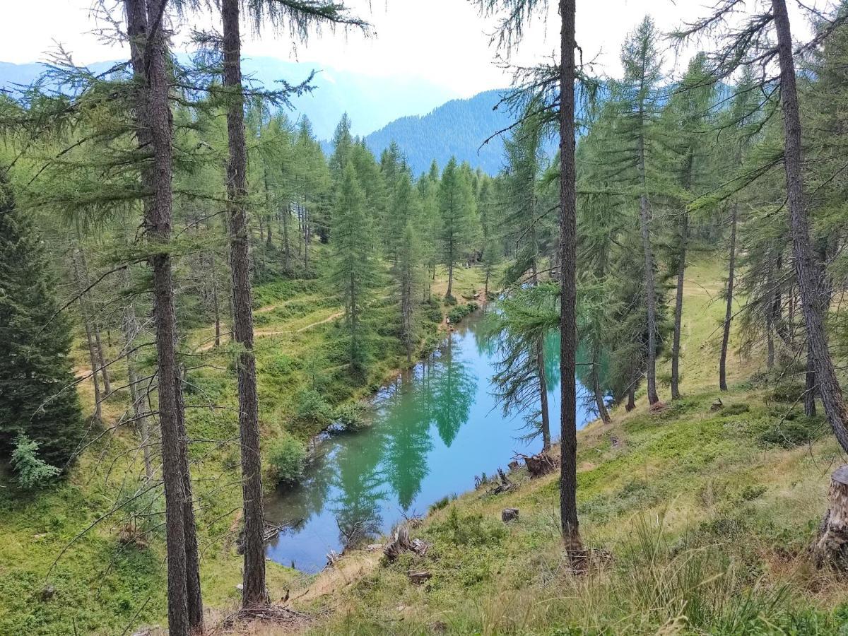 Il Riccio Del Castagno Appartement Novaledo Buitenkant foto