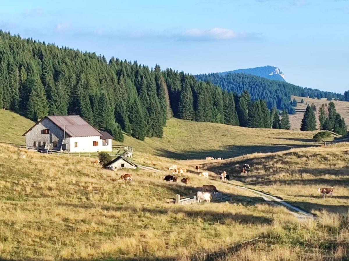 Il Riccio Del Castagno Appartement Novaledo Buitenkant foto